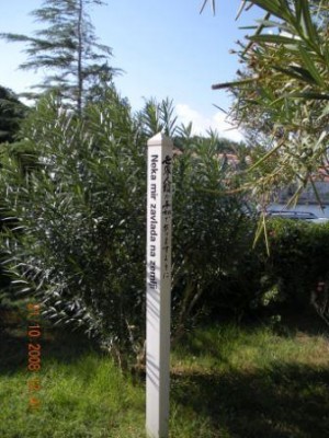 Kopie von DSCN0211.JPG