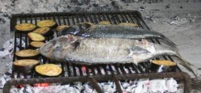 Grillfisch.JPG