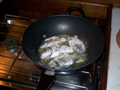 Chimera 2003 084.JPG (53.69 KiB) 10296 mal betrachtet Chimera 2003 084.JPG