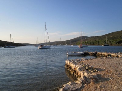 tn_IMG_0390.jpg