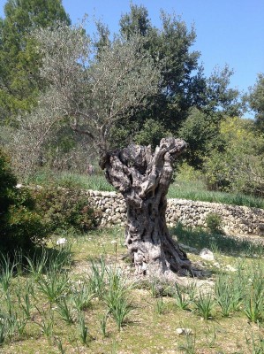 tn_3991.JPG (180.26 KiB) 9784 mal betrachtet tn_3991.JPG