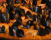 2014-04-30 07.32.26.png