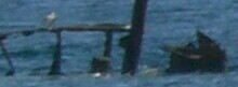 _20140505_154359.JPG