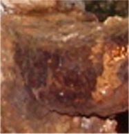 was-ist-das-nur-8.jpg