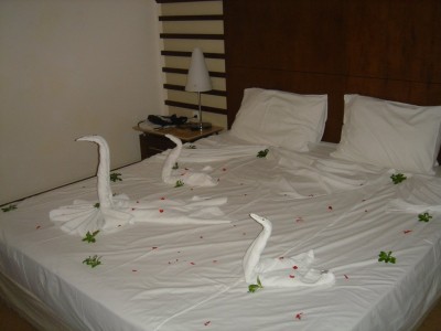 2.jpg (89.14 KiB) 10943 mal betrachtet 2.jpg