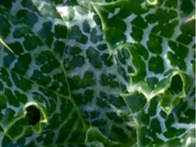 image.jpg (95.11 KiB) 11710 mal betrachtet image.jpg