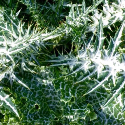 image.jpg (152.14 KiB) 11685 mal betrachtet image.jpg