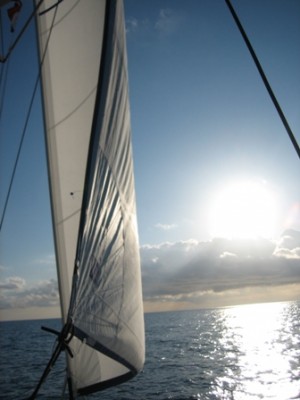 IMG_1836.JPG (57.51 KiB) 2666 mal betrachtet IMG_1836.JPG